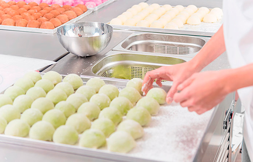 particulares-mochis